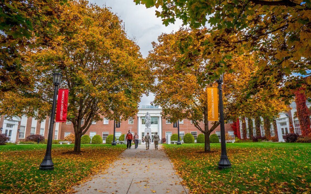 Norwich University student selected to present cancer treatment research