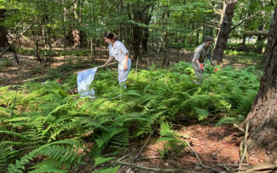 VBRN Partner Institution to Receive 1.8 Million Grant to Study Ticks, Invasive Plant Species