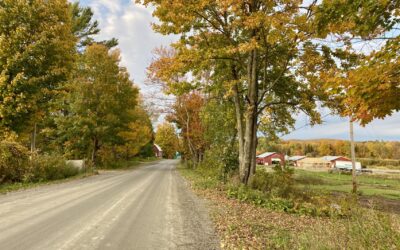 VBRN Professor Explains Why Leaves Change Color